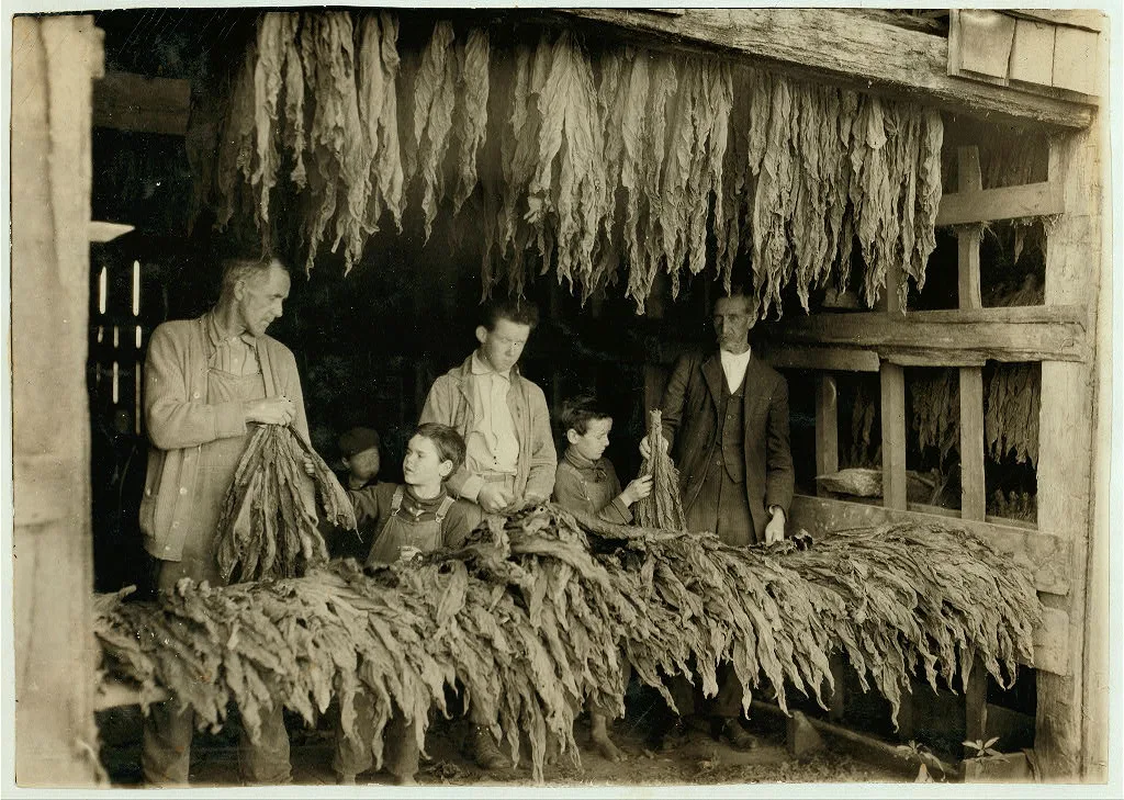 [B.F. Howell, Route 4, Bowling Green, Ky. and part of his family…, Kentucky, 1916