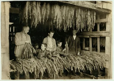 [B.F. Howell, Route 4, Bowling Green, Ky. and part of his family…, Kentucky, 1916