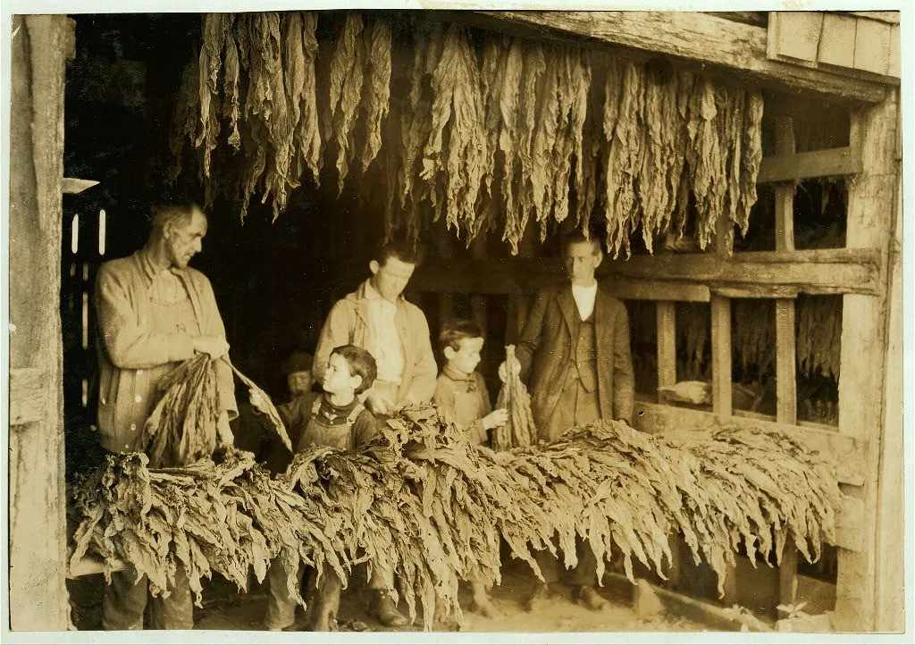 [B.F. Howell, Route 4, Bowling Green, Ky. and part of his family…, Kentucky, 1916