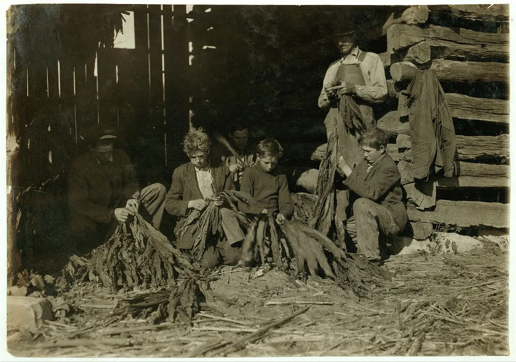 [Family of J.H. Burch, Route 1, Rockfield, Ky. Boys 12, 14 and 17…, Kentucky, 1916