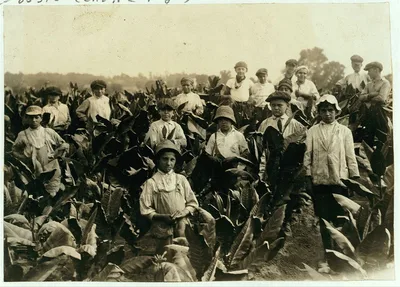 Field-workers, Goodrich Tobacco Farm, near Gildersleeve, Conn. See…, Connecticut, 1917